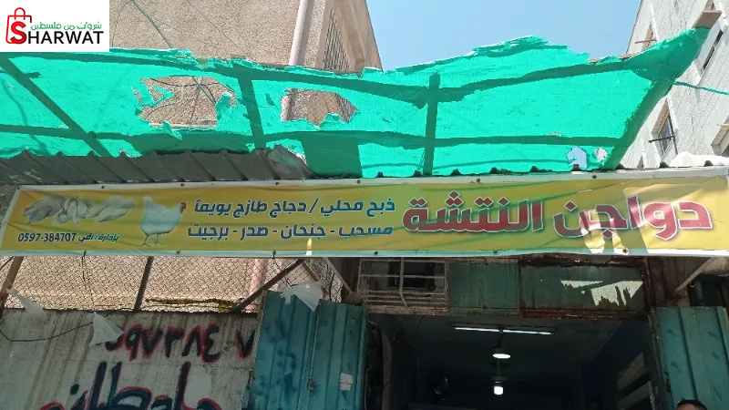 دواجن النتشة