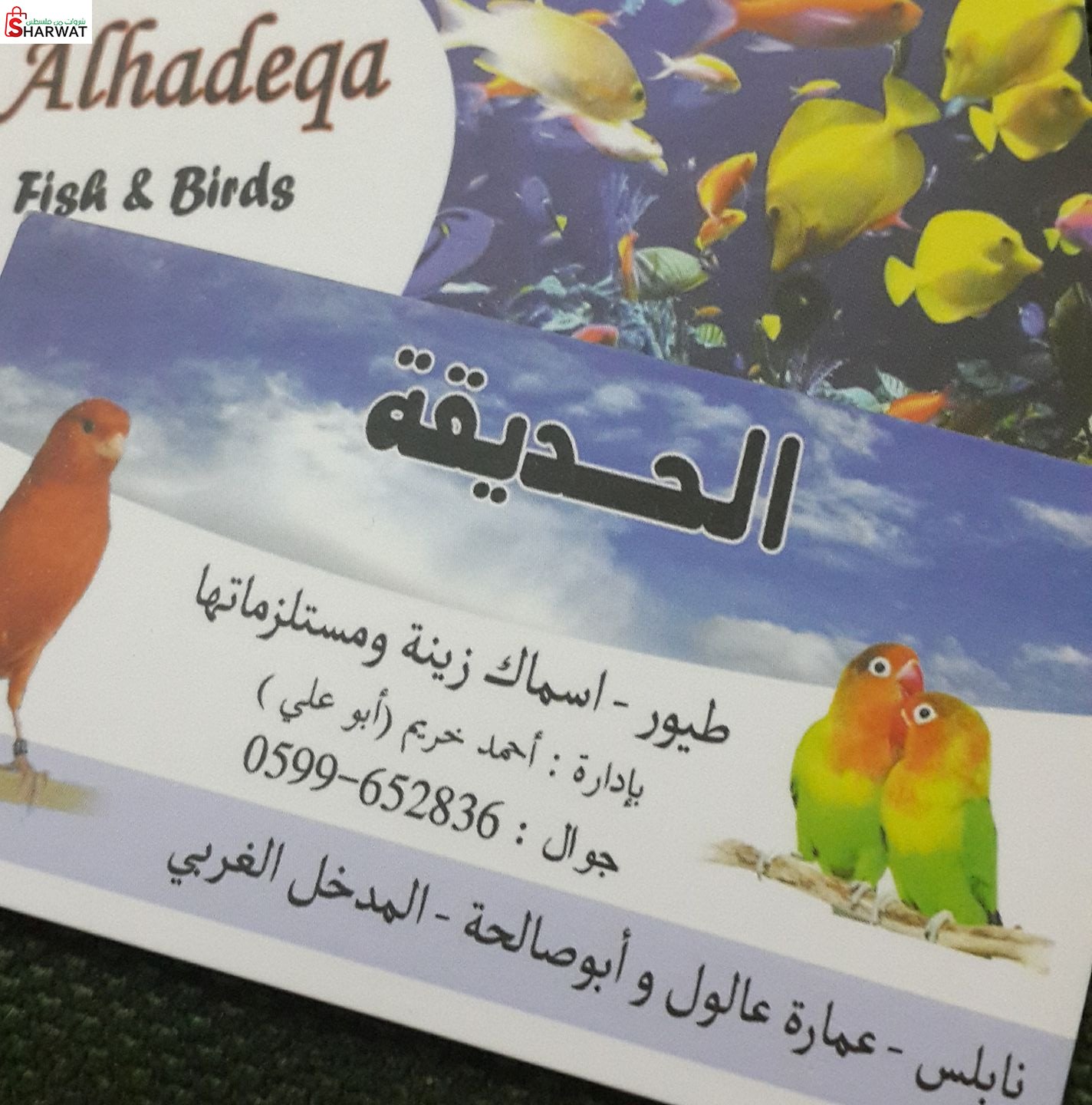 محل الحديقة للطيور والاسماك