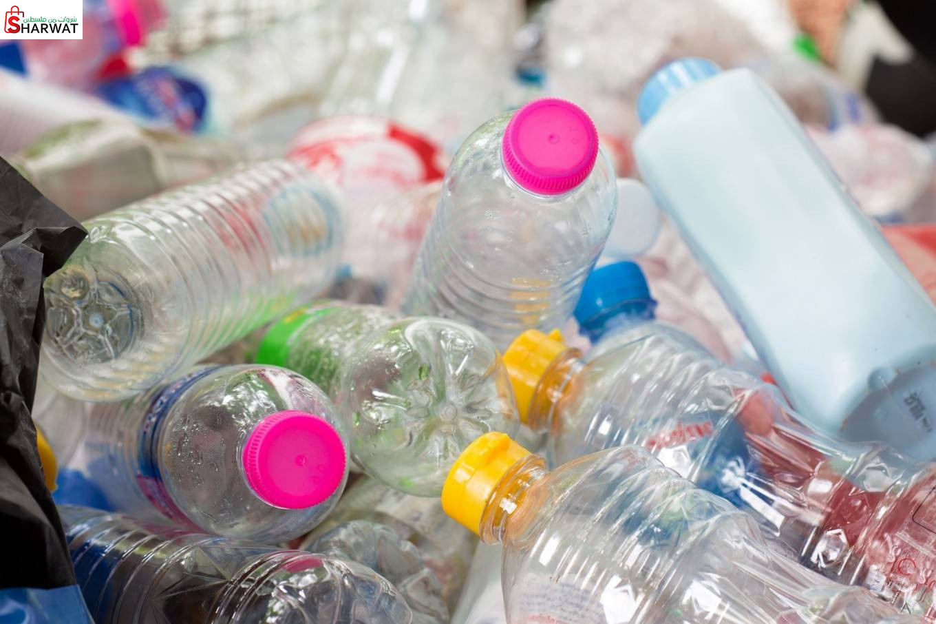 شركة الاراضي المقدسة للصناعات الب...