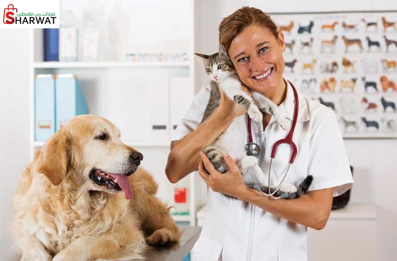 مركز العلاجات البيطرية