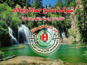 صالح حمادة واولاده