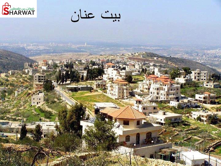 مجلس محلي بيت عنان