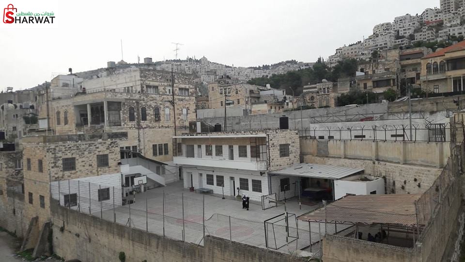 مدرسة الكرمل الاساسية للبنات