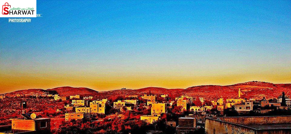 مجلس قروي الساوية