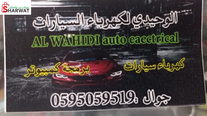 الوحيدي لكهرباء السيارات