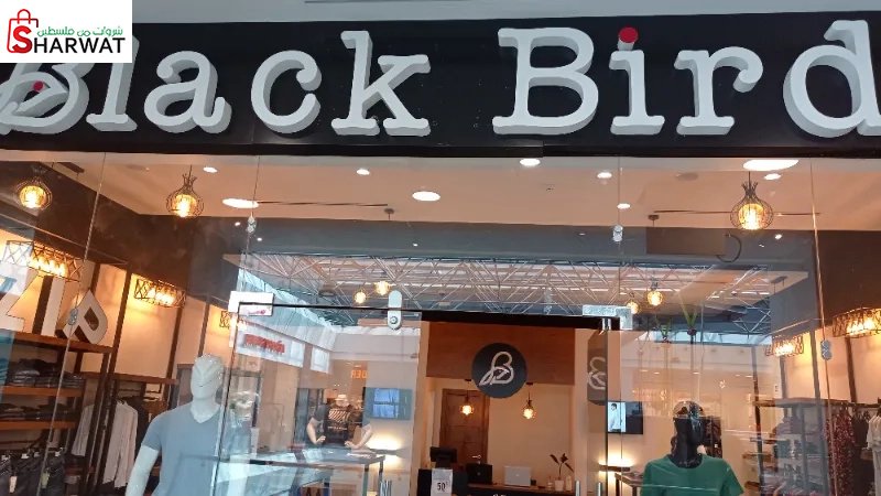 Black Bird