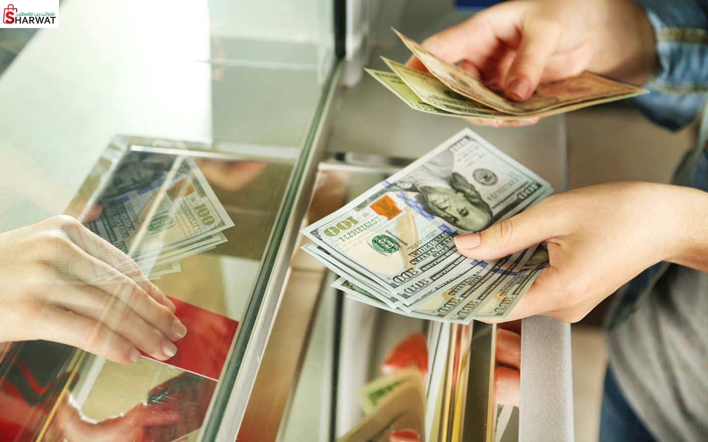 شركة اوركيدا للصرافة والحوالات المالية