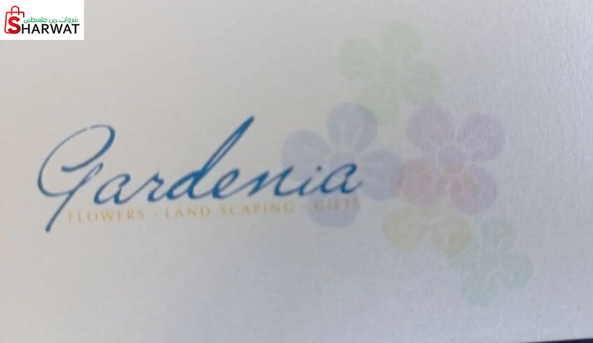 Gardenia