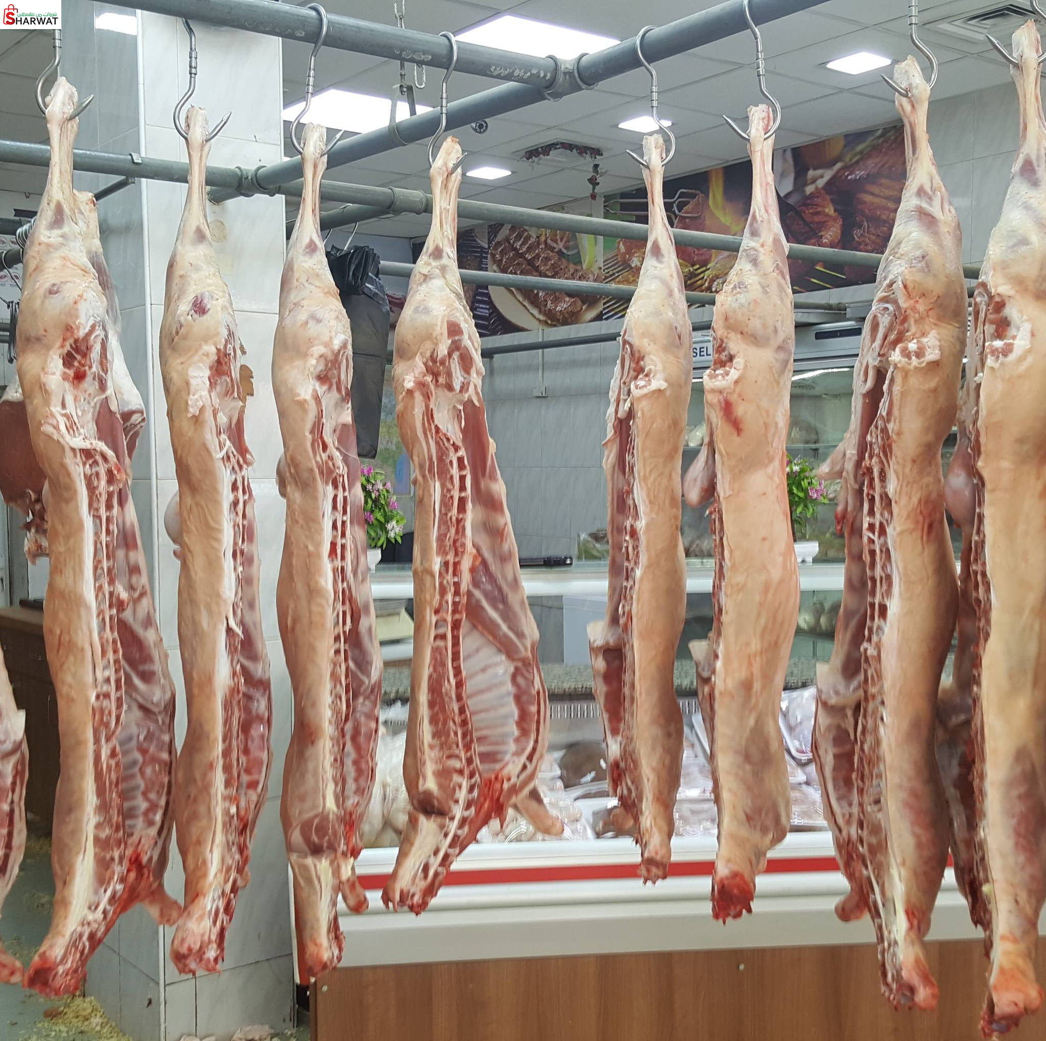 ملحمة البستان الاخضر