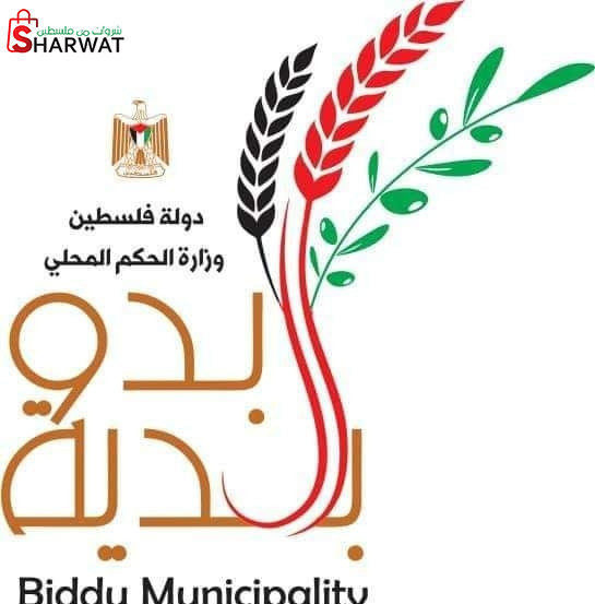 مجلس محلي بدو