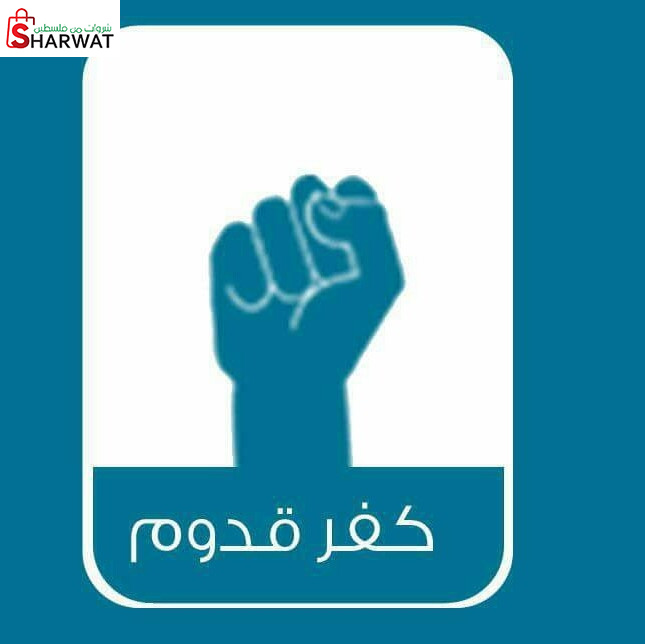 مجلس قروي كفر قدوم