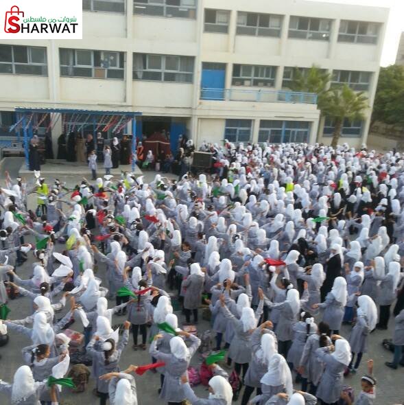 مدرسة بنات رفح الاعدادية ( د )