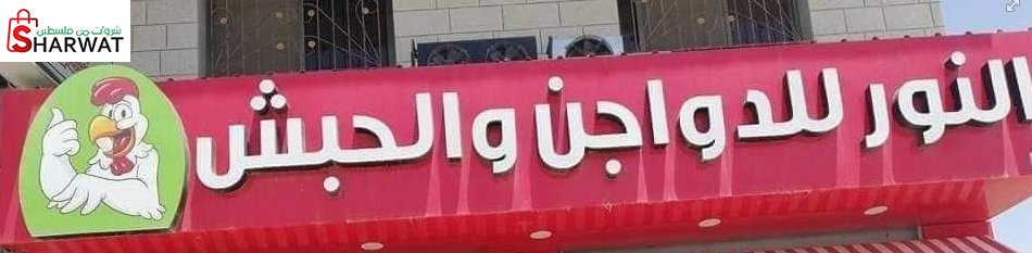 محل النور للدواجن