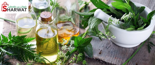 شركة مصنع بجورة للأغذية التكميلية...