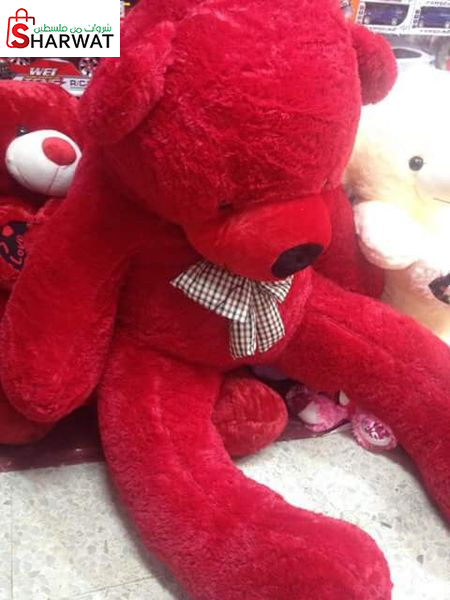 محلات كل شيء - شرف التميمي واولاده