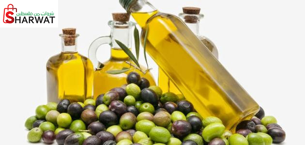 شركة توفيق السيد واولاده