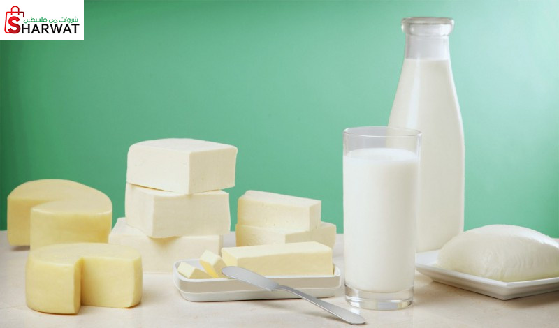 محلات الشيخ خالد للالبان