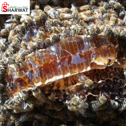 جمعية اريحا والاغوار التعاونية لت...