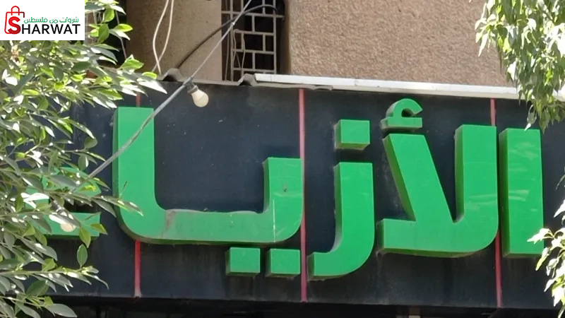 عالم الازياء