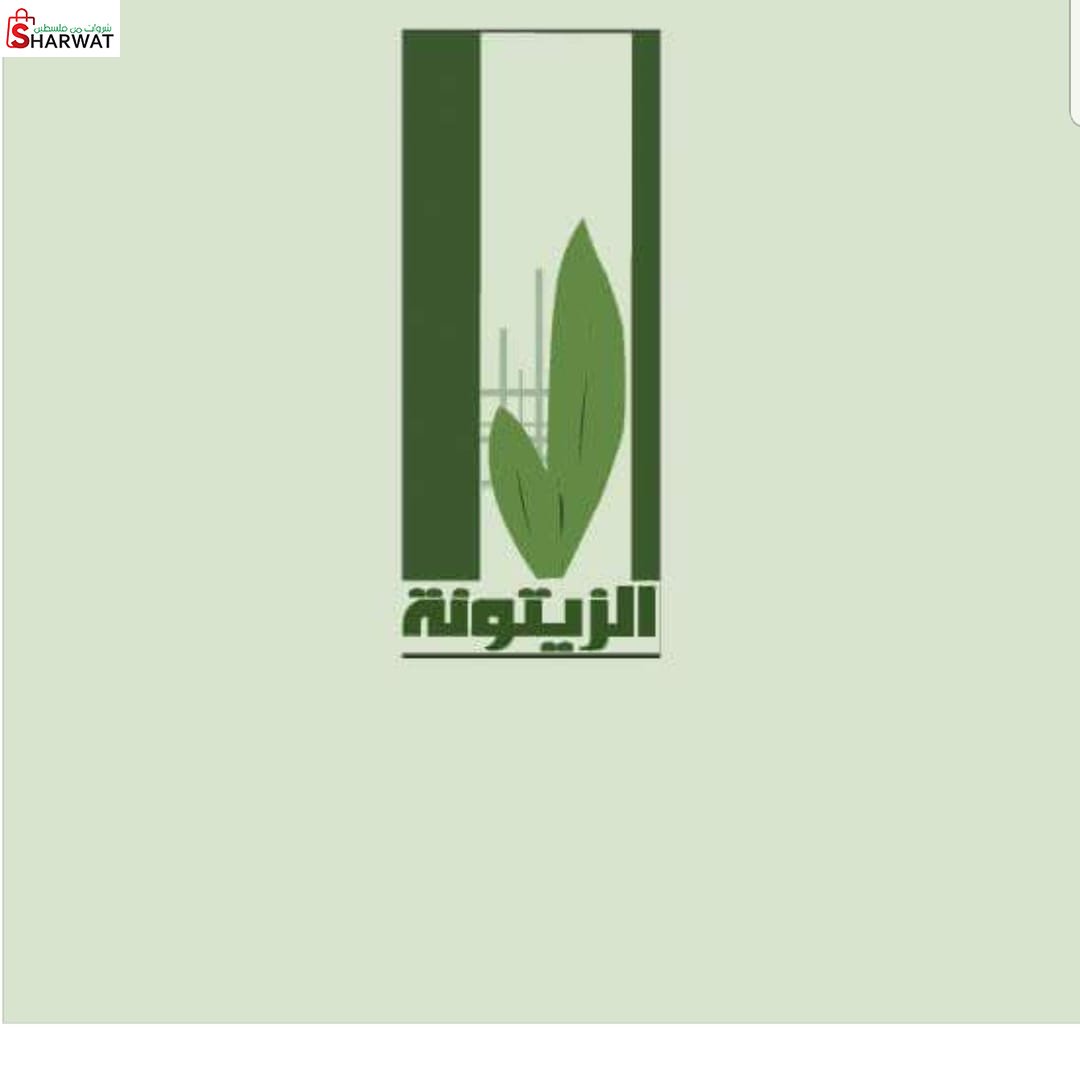 صيدلية الزيتونة