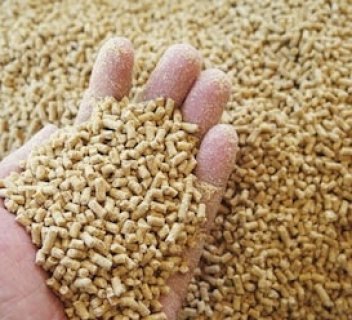 منتصر حسونة للاعلاف