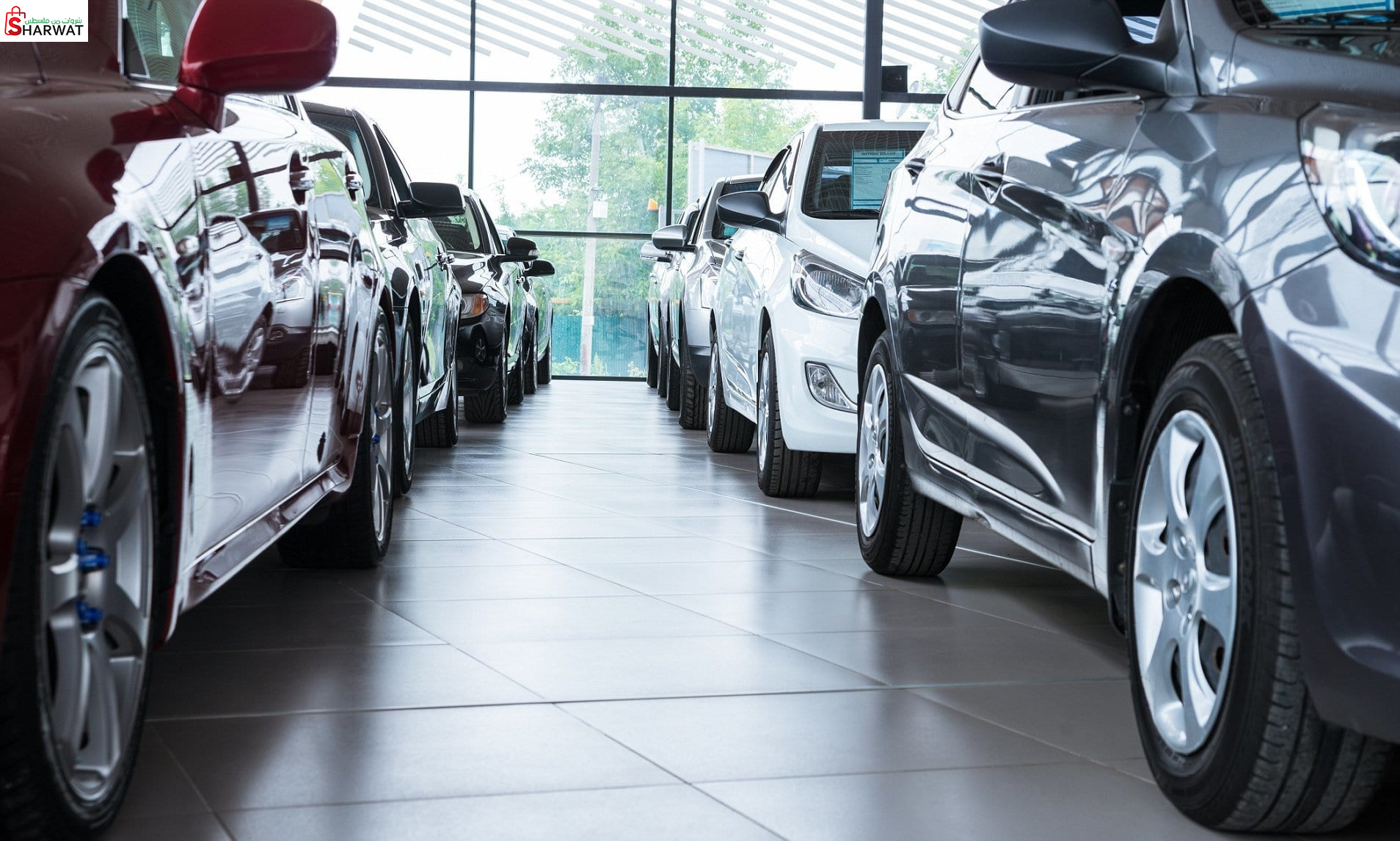 فل اوبشين لاستيراد وتجارة السيارات