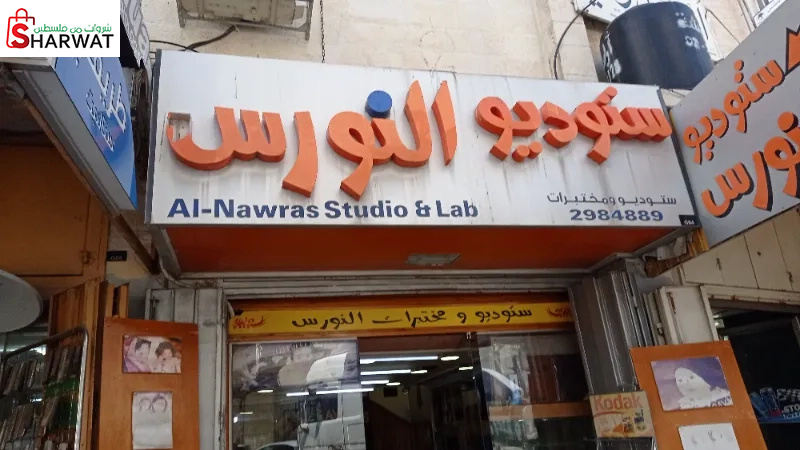 ستوديو النورس