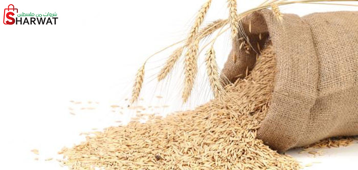 شركة مطاحن الظاهرية الجديدة