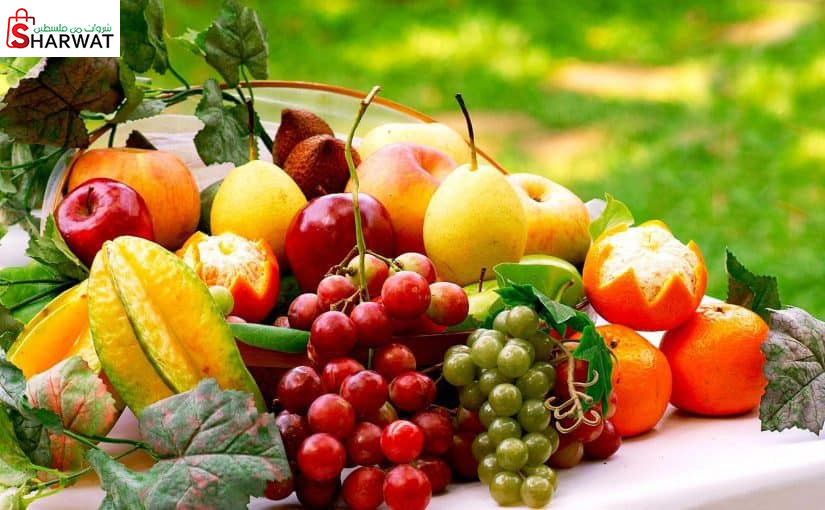 محلات شعبان اسعيد