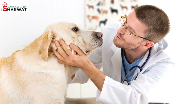 الحموز للبيطرة والزراعة Image 1