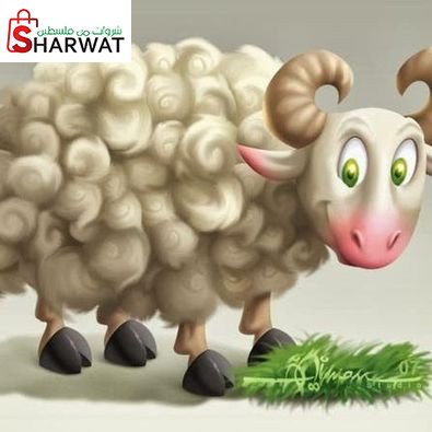 ملحمة ربيح سارة