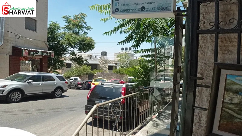 النوباني انتيك