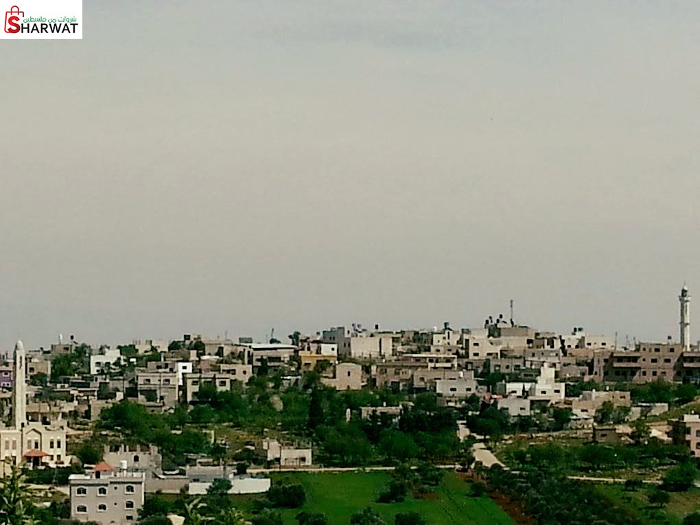 مجلس قروي جوريش