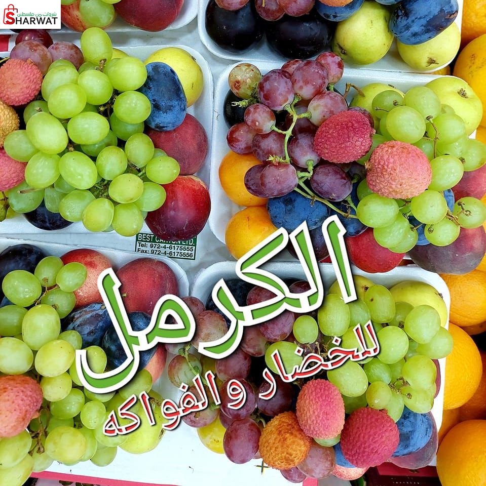 الكرمل للخضار والفواكه
