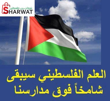 مدرسة صانور الثانوية للبنين