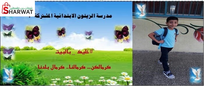 مدرسة بنات الزيتون الابتدائية الم...