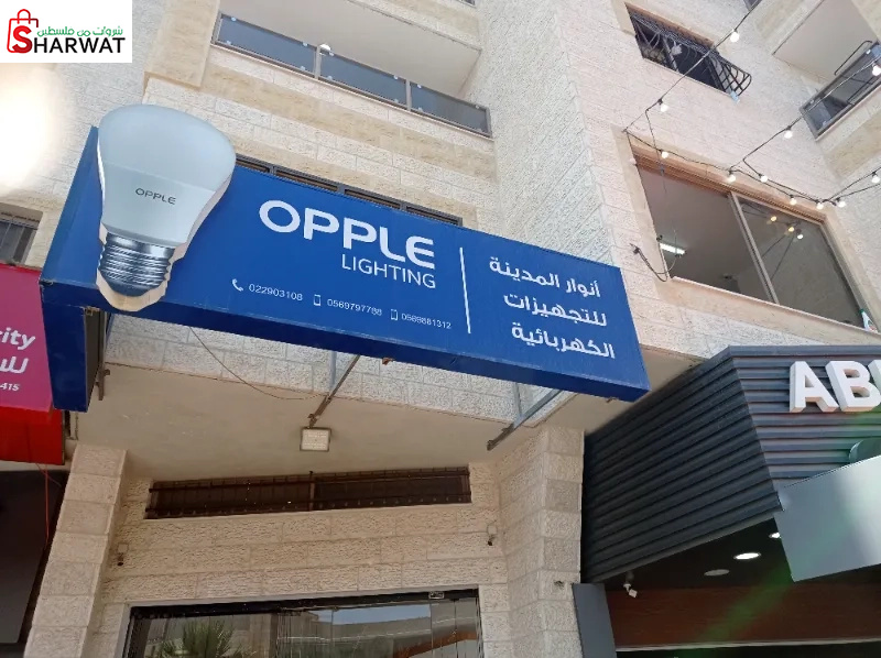 انوار المدينه