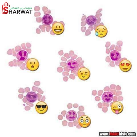 مختبر البيان الطبي 