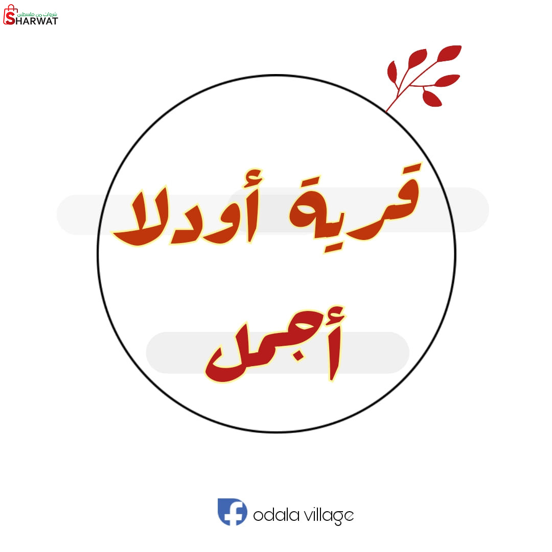 مجلس قروي اودلا