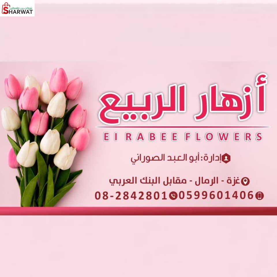 ازهار الربيع