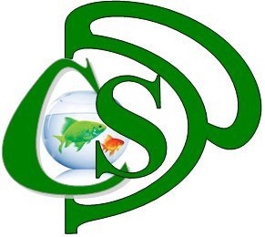 Partners in Creative Solutions (PCS)