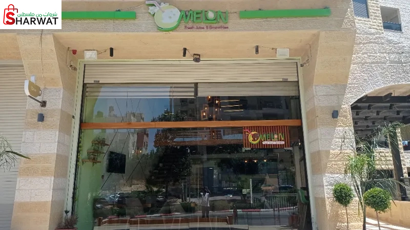 Melon fresh juice and smoothies