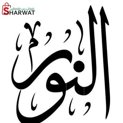 شركة نور للتجارة والتسويق