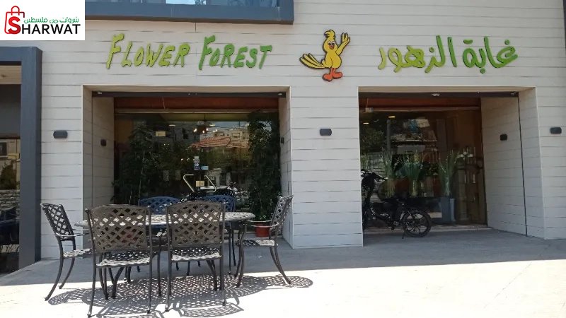 غابة الزهور / flower forest