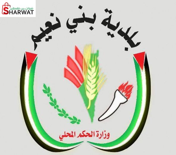 بلدية بني نعيم