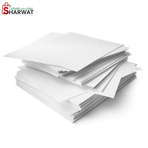 الراشد للصناعة والاستثمار