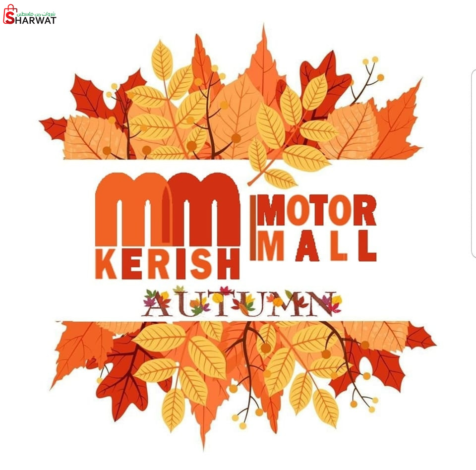 قرّش اتوموبيل