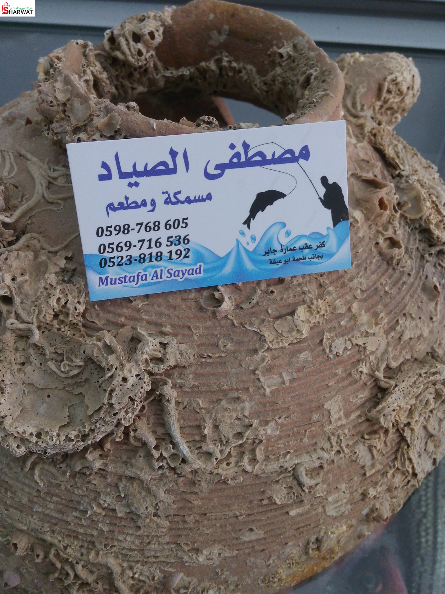 مسمكة مصطفى الصياد