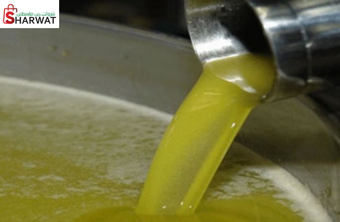 معصرة الربيع