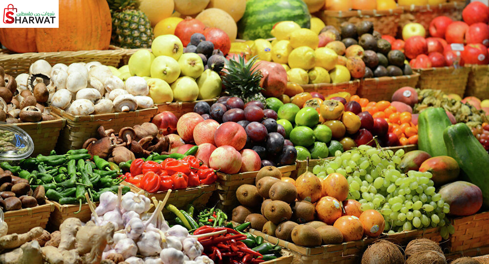 مزارع خضراوات سارة عواطلة